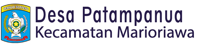 Website Desa Patampanua